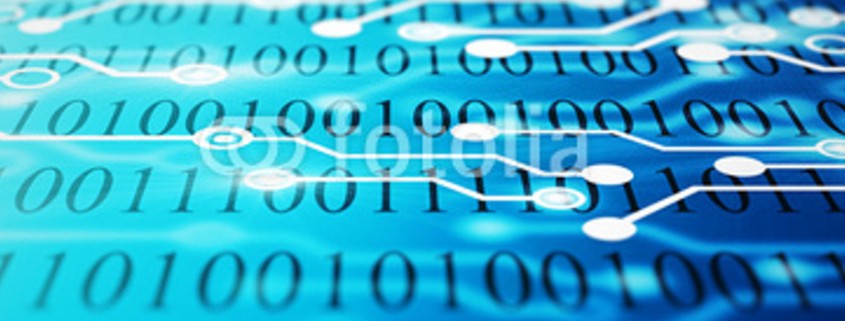 fotolia_88071875 bearb